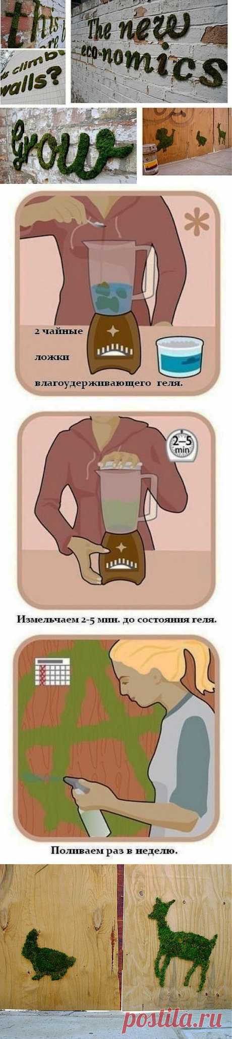 Живые граффити из мха..