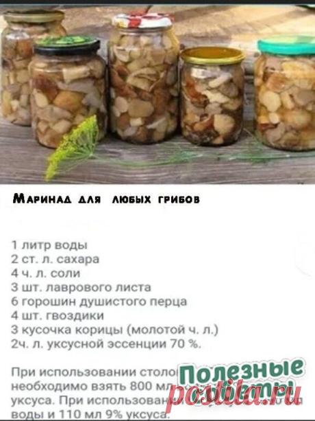 Самые полезные советы