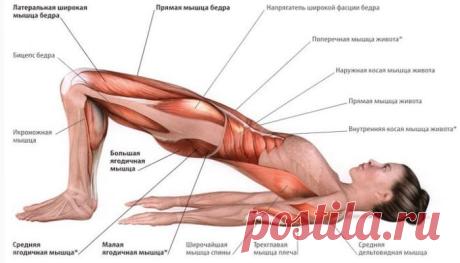 Все мышцы работают, благодаря всего 3 упражнениям Больше нет необходимости в длительных тренировках и занятиях на тренажерах. Всего три...