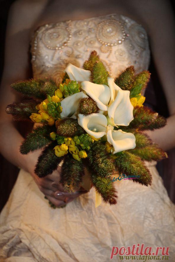 Друзья! Базовый курс обучения по флористике начнётся в нашей школе 15 и 17 октября. Приглашаем всех студентов, прошедших краткий подготовительный курс