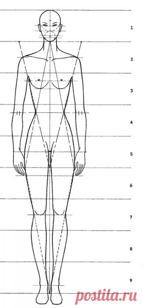 чертеж размеров