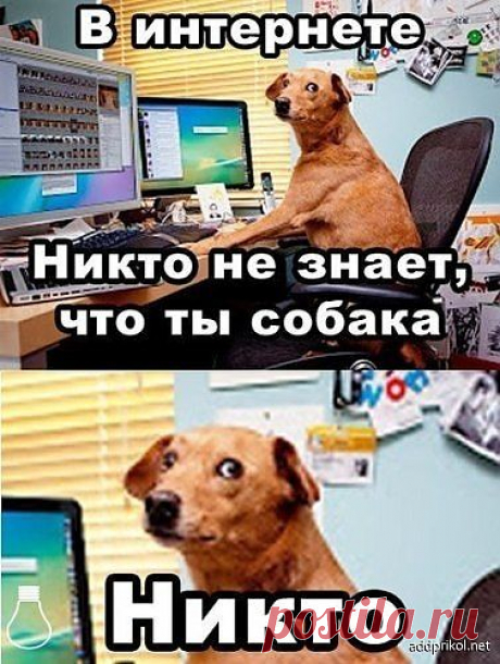 за аватаркой может скрываться ....монстр.