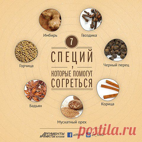 Горчица, бадьян, имбирь и другие пряности, которые помогут согреться
Уже давно не секрет, что пряности нужны не столько затем, чтобы улучшить вкус блюда, хотя это, конечно, важно, но и для того, чтобы насытить наш организм полезными веществами и принести пользу. Кроме того, одни пряности и травы могут зимой помочь нам согреться, другие – принесут в жару ощущение прохлады.