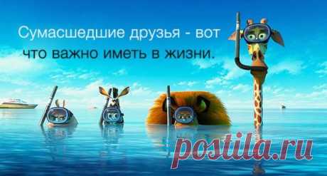 Фитнес для мозга