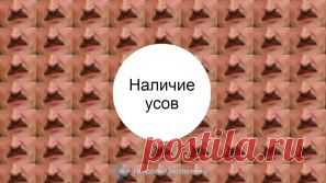 ЦИК обнародовал полный список требований к кандидатам в президенты РБ