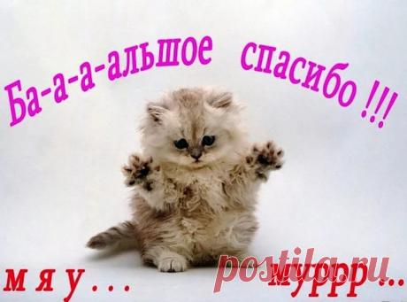 Необычный рецепт из сыра - запись пользователя Галина (Галина Булахова) в сообществе Болталка в категории Кулинария