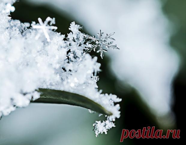 Магнитные бури сегодня: прогноз на 22 января - стабильное состояние магнитосферы