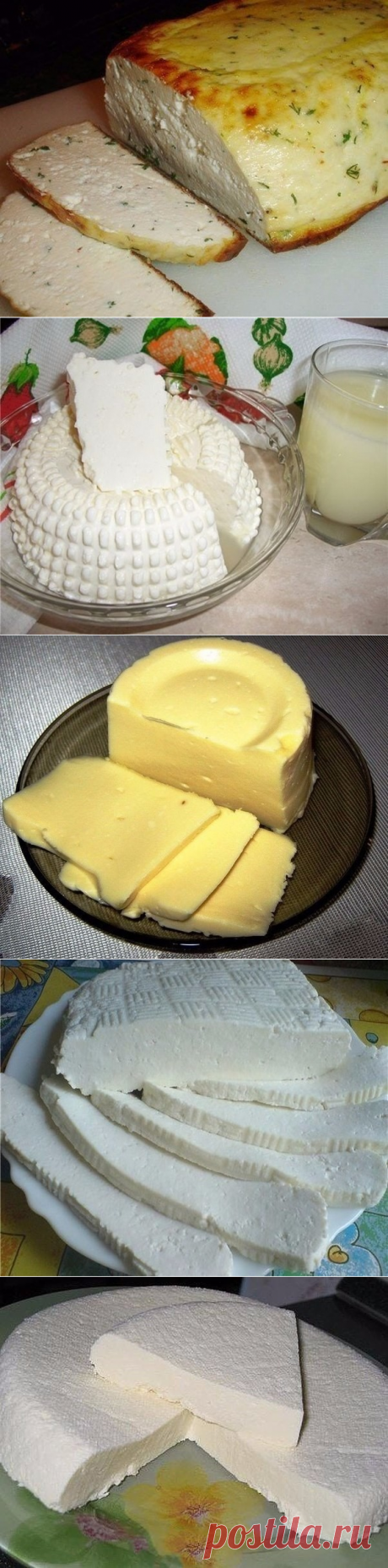 СЫРЫ в дом. условия