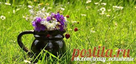 #travy_ochishenie

ОТВАР ТРАВ ДЛЯ УКРЕПЛЕНИЯ СОСУДОВ ОТ СИБИРСКИХ ВЕДУНОВ 

Отвар на основе сочетания целебных трав поможет вам укрепить сосуды, особенно это актуально для страдающих сахарным диабетом и вегетососудистой дистонией, а также всем тем, кого мучают головные боли от перенапряжения и стресса. 

Целебный травяной отвар – уникальный рецепт: 

Необходимо смешать в равных пропорциях пустырник, зверобой, корни валерианы и листья мелиссы, две столовые ложки смеси трав ...