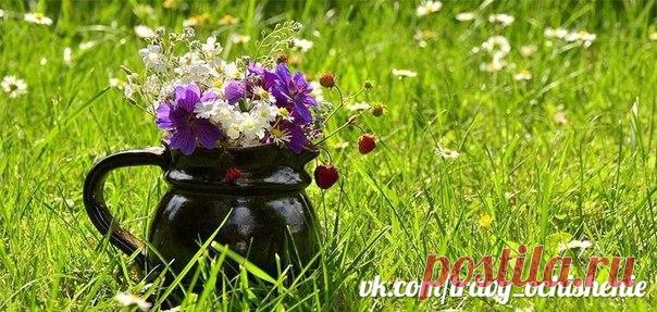 #travy_ochishenie

ОТВАР ТРАВ ДЛЯ УКРЕПЛЕНИЯ СОСУДОВ ОТ СИБИРСКИХ ВЕДУНОВ 

Отвар на основе сочетания целебных трав поможет вам укрепить сосуды, особенно это актуально для страдающих сахарным диабетом и вегетососудистой дистонией, а также всем тем, кого мучают головные боли от перенапряжения и стресса. 

Целебный травяной отвар – уникальный рецепт: 

Необходимо смешать в равных пропорциях пустырник, зверобой, корни валерианы и листья мелиссы, две столовые ложки смеси трав ...