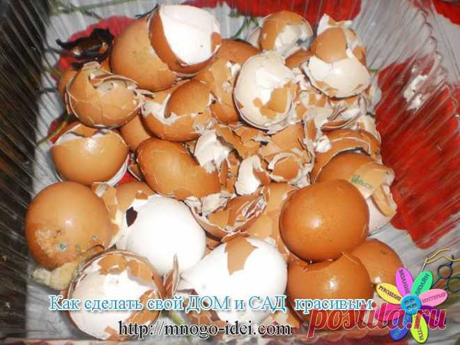 Удобрение для дачи..