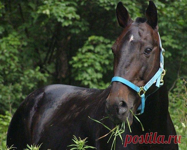 ВСЁ ЛУЧШЕЕ ИЗ YOU TUBE (16 плюс)
উএΒ ςετи λюδимα Αλλαχθм χραηимαইএ