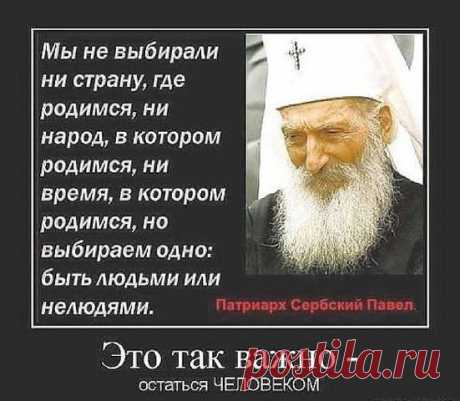 САМОЕ ИНТЕРЕСНОЕ ✦ ЛУЧШЕЕ ВИДЕО  (16 ✚)
Наталья Пухалева