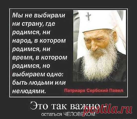 САМОЕ ИНТЕРЕСНОЕ ✦ ЛУЧШЕЕ ВИДЕО  (16 ✚)
Наталья Пухалева