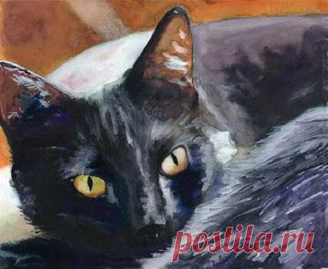 Кошачьи портреты. Black_Cat - Алекс Картер