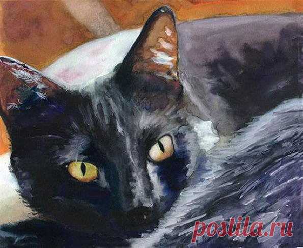 Кошачьи портреты. Black_Cat - Алекс Картер