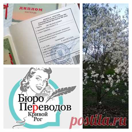 Уже сейчас пора готовить свои документы, если планируете поступление в европейский или американский ВУЗ 🎓 Начните с проставления Апостиля на своих учебных документах. В нашем бюро проставление Апостиль стоит от 500 грн, срок - от 10 до 1 дня. Более детально об этой услуге узнавайте по тел ☎ (056)4990304 или на сайте 💻 www.buroperevodov.net Бюро переводов Антарио М Кривой Рог. #Апостиль #перевод #диплом #бюропереводов #кривойрог #Украина #apostille #perevod #buroperevodov #krivoyrog #ukraina #f
