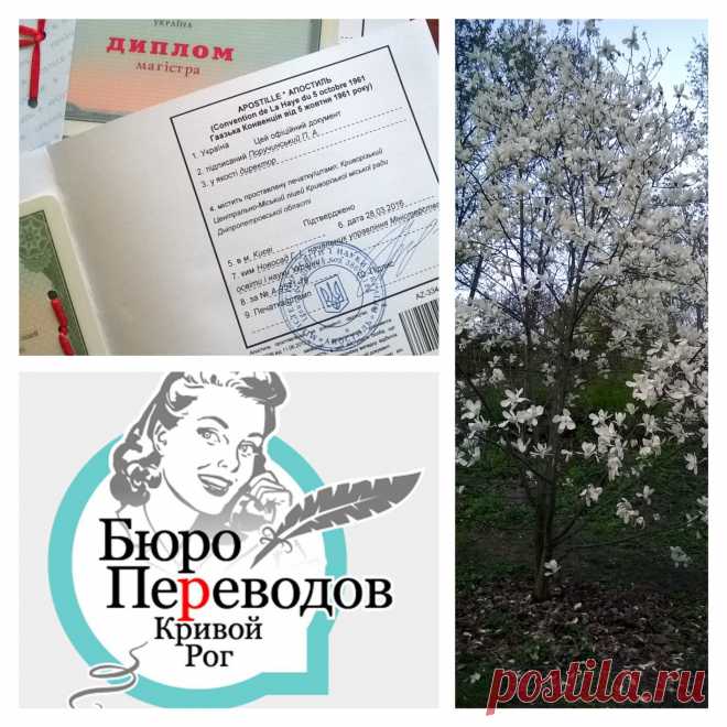 Уже сейчас пора готовить свои документы, если планируете поступление в европейский или американский ВУЗ 🎓 Начните с проставления Апостиля на своих учебных документах. В нашем бюро проставление Апостиль стоит от 500 грн, срок - от 10 до 1 дня. Более детально об этой услуге узнавайте по тел ☎ (056)4990304 или на сайте 💻 www.buroperevodov.net Бюро переводов Антарио М Кривой Рог. #Апостиль #перевод #диплом #бюропереводов #кривойрог #Украина #apostille #perevod #buroperevodov #krivoyrog #ukraina #f
