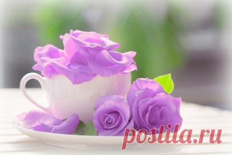 чашка и розы.