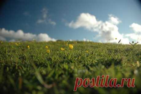 Фотопост: первый день лета | Selfhacker.ru