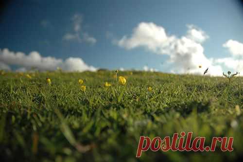 Фотопост: первый день лета | Selfhacker.ru