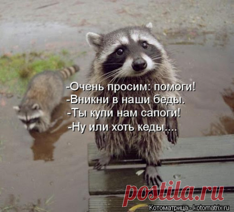 Вона оно чо, Михалыч… или как стимулировать мущину) - ♀♂ Гостиная для друзей - медиаплатформа МирТесен