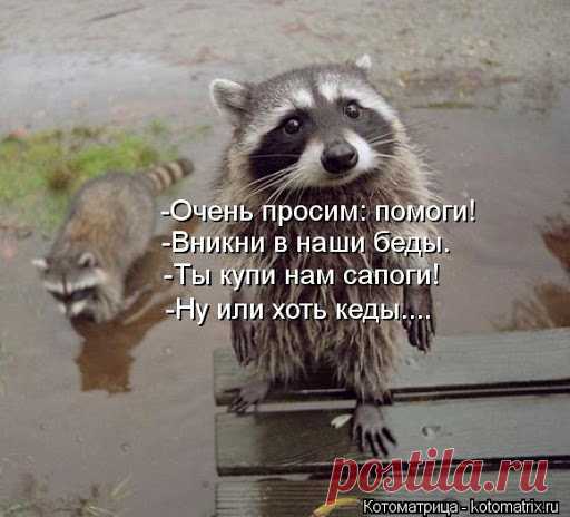 Вона оно чо, Михалыч… или как стимулировать мущину) - ♀♂ Гостиная для друзей - медиаплатформа МирТесен