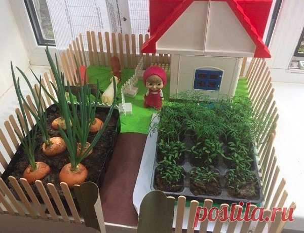 Интересные новости