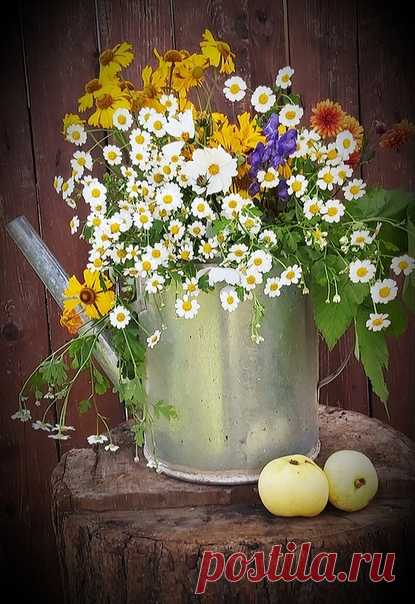 🌼 🌿 ♥