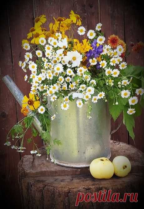 🌼 🌿 ♥