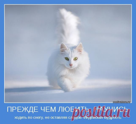 Безусловная Любовь