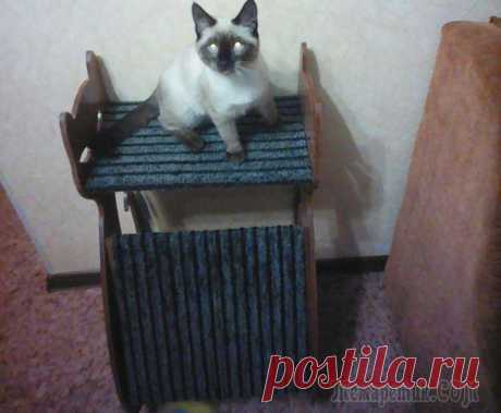 Когтеточка для кота в виде кота