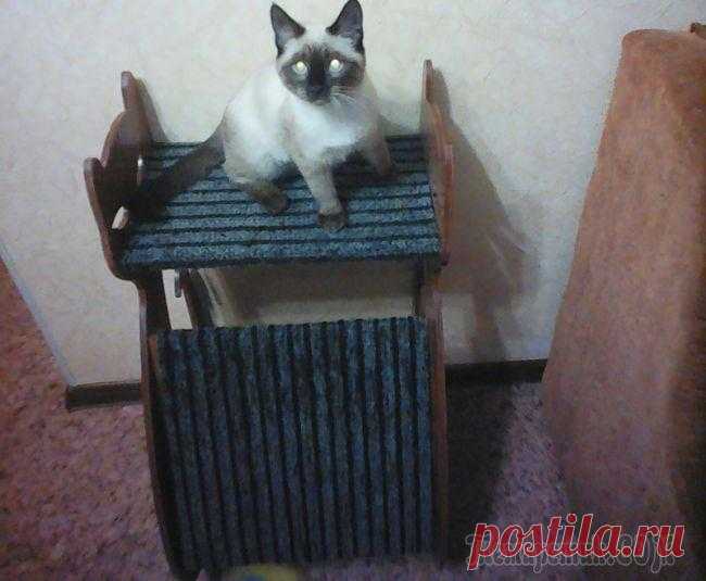 Когтеточка для кота в виде кота