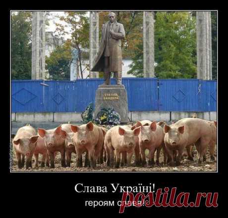 Ультросы пидорасы ! Россия вперед