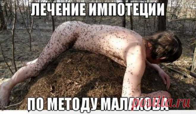 Яндекс.Фотки