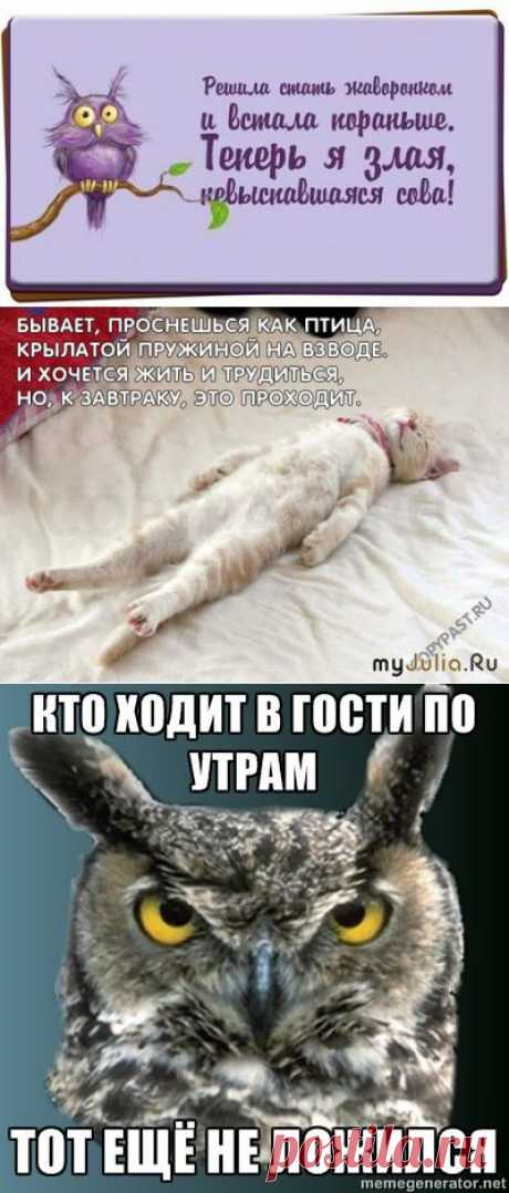 Шесть правил жаворонка для настоящей совы.
