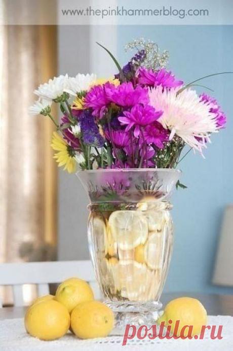 Как продлить жизнь срезанных цветов?