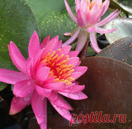 Редактировать описание