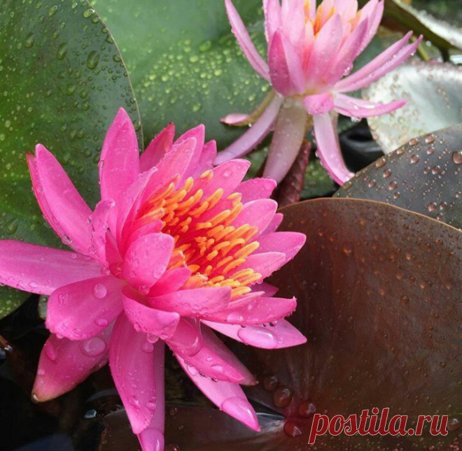 Редактировать описание