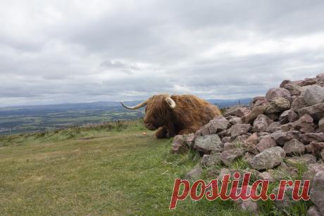 Региональный парк Пентланд (Pentland Regional Park), это  площадка для приключений на свежем воздухе. Здесь  основных пять пешеходных маршрутов. Ряд холмов расположен к юго-западу от Эдинбурга.Парк, вместе с остальными холмами, используется для разнообразных развлекательных мероприятий, включая прогулки по холмам.........