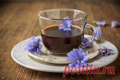 Польза и вред цикория для артериального давления