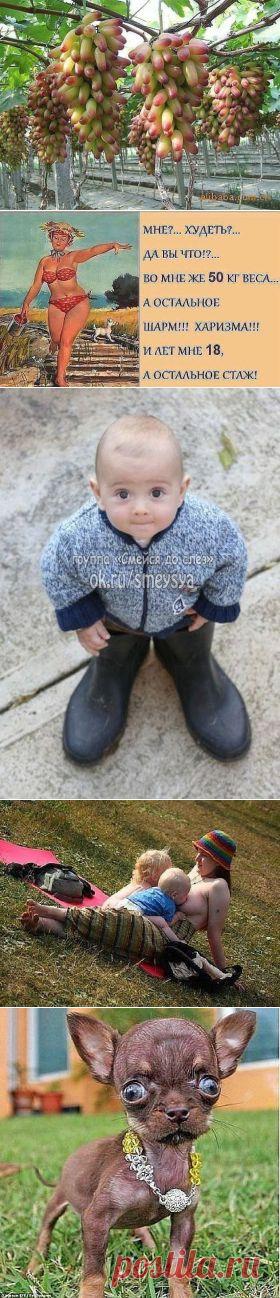 (2) Одноклассники