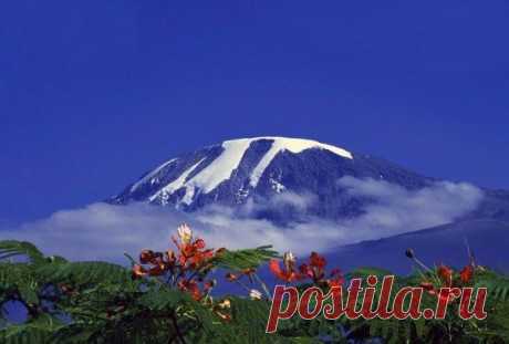 Гора Килиманджаро в Танзании, Африка
На северо-востоке Танзании среди пустынной равнины находится самая высокая точка Африки - величественный вулкан Килиманджаро (5 895 м). Он возвышается над плоскогорьем Масаи, лежащим на высоте 900 метров над уровнем моря.