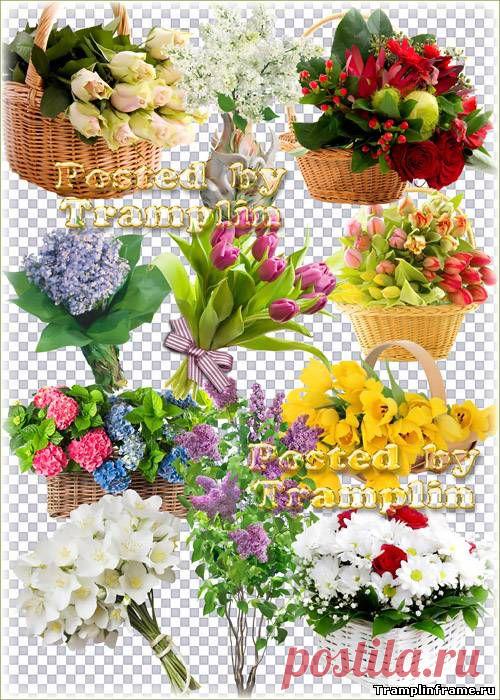 Букеты цветов – Розы, тюльпаны, хризантемы, сирень - Клипарт на прозрачном фоне - Png, Psd клипарт - прозрачный фон - Все для Фотошоп - Рамки для фото бесплатно