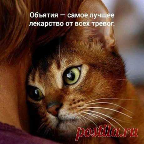 Интересные новости