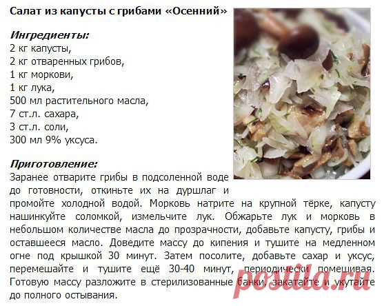 Готовим в духовке! + вся кулинария мира!
Ирина Мохонова