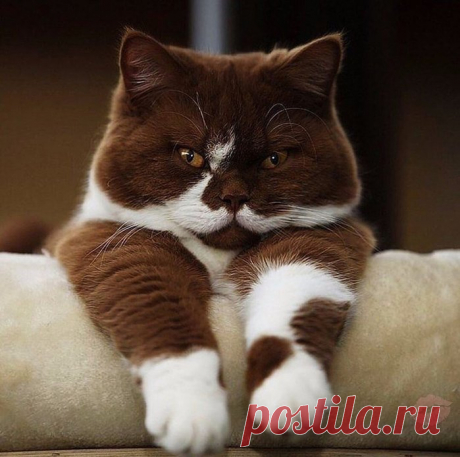 Фото дня