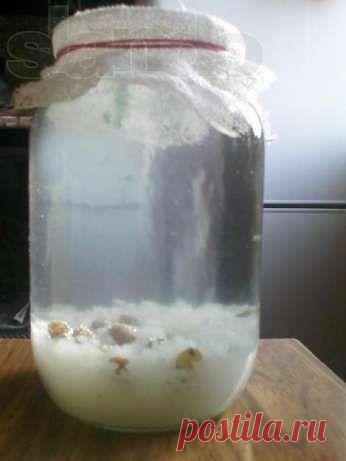 Рисовый квас от остеохондроза