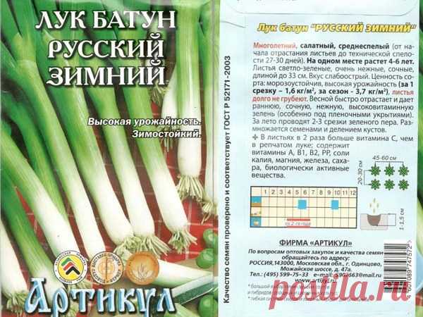 Лук-батун Русский зимний: выращивание из семян, отзывы, описание и характеристика сорта, достоинства и недостатки, урожайность