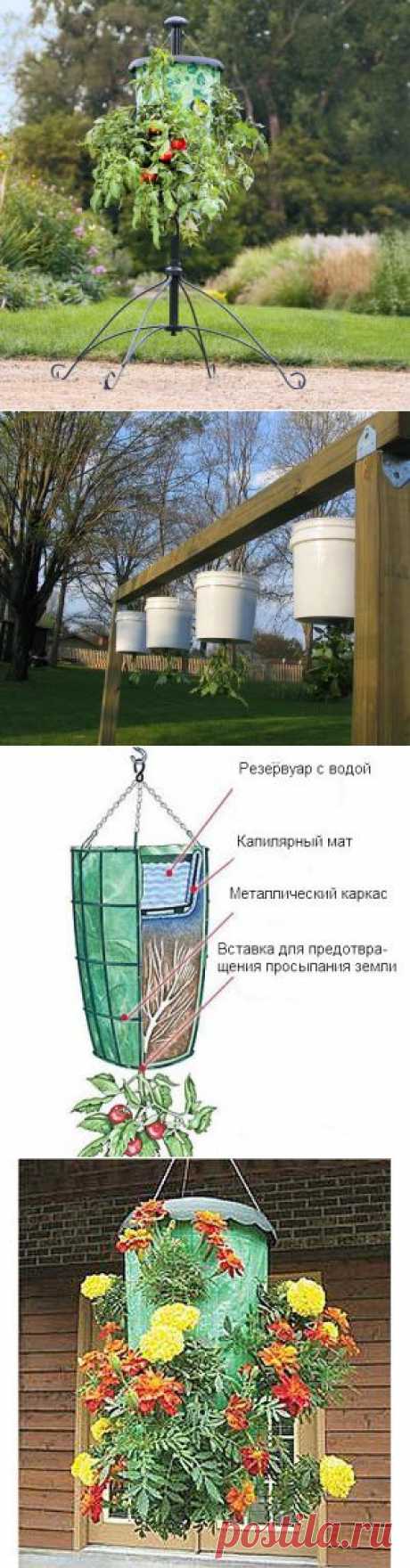 Огород вверх тормашками или выращивание растений в перевернутом виде. | Эфария
